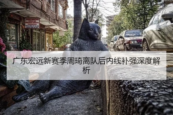 广东宏远新赛季周琦离队后内线补强深度解析